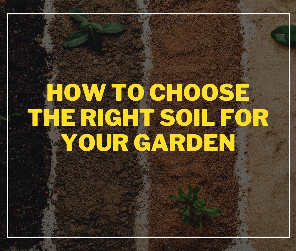 How to Choose the Right Soil for Your Garden